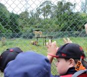 ParadiseValley 10151