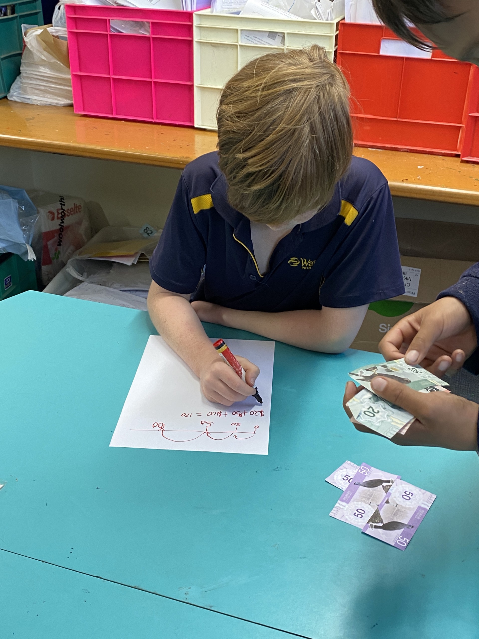 Meaty Mathematics » Wairakei Primary School