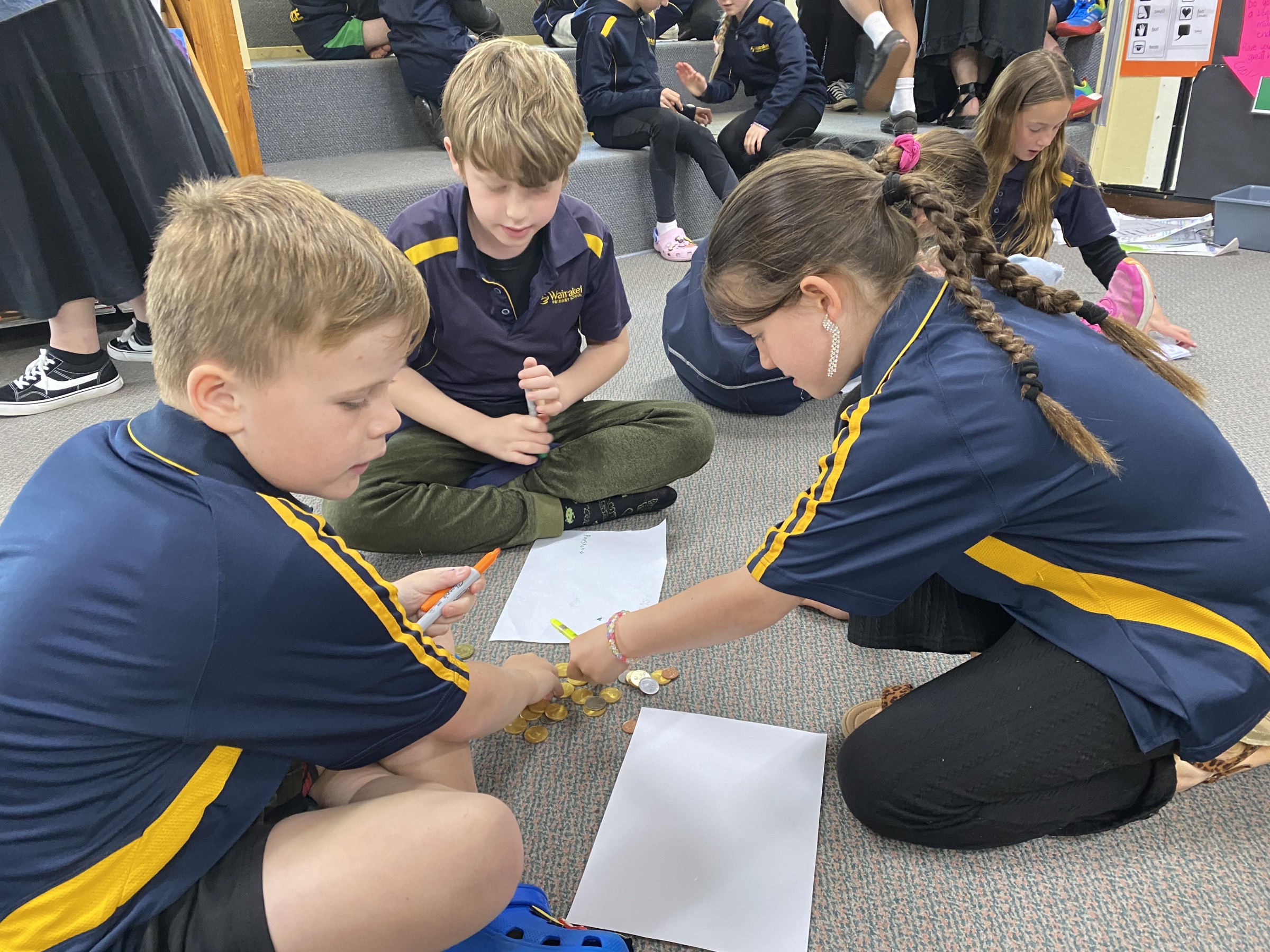 Meaty Mathematics » Wairakei Primary School