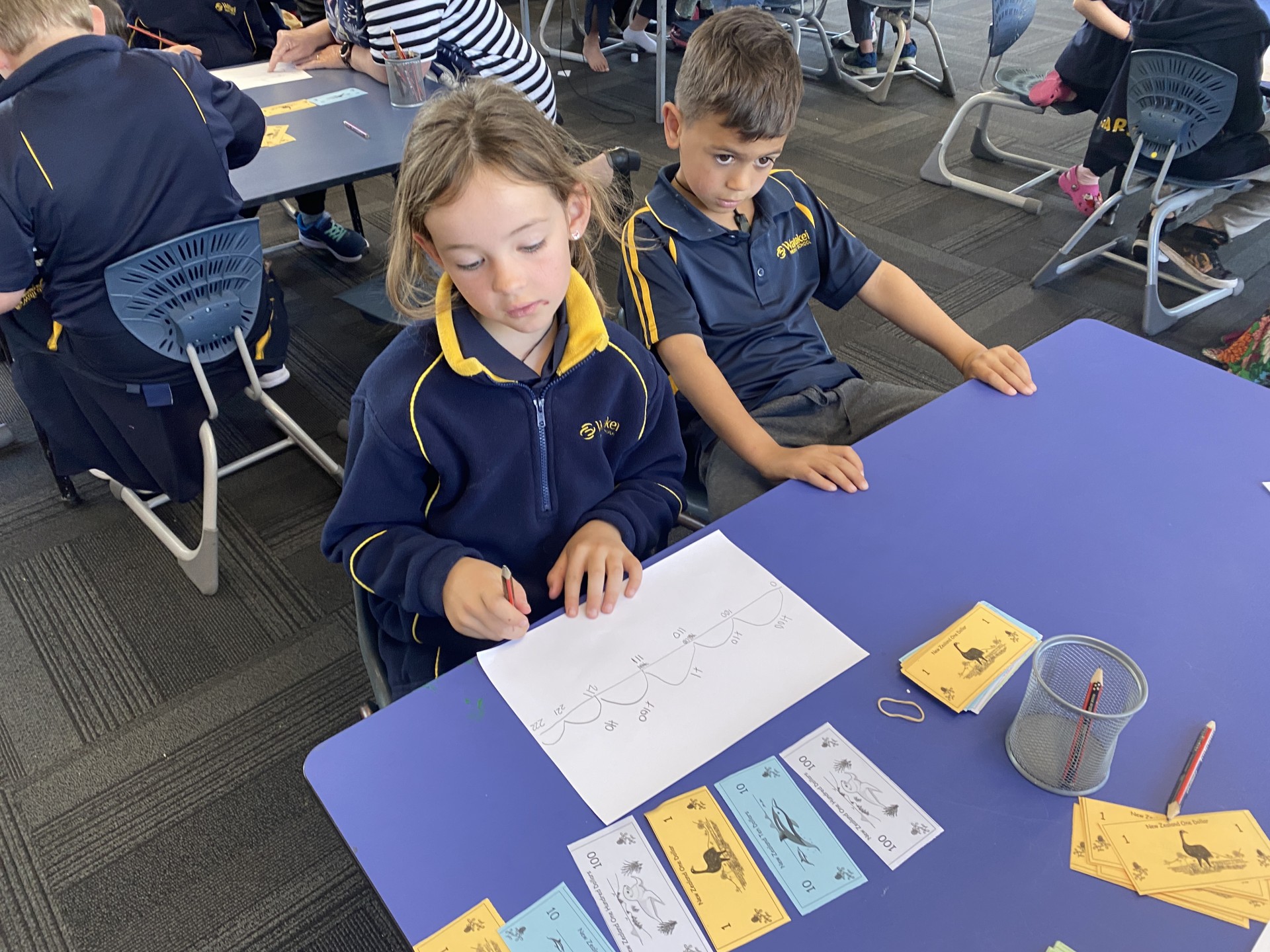 Meaty Mathematics » Wairakei Primary School