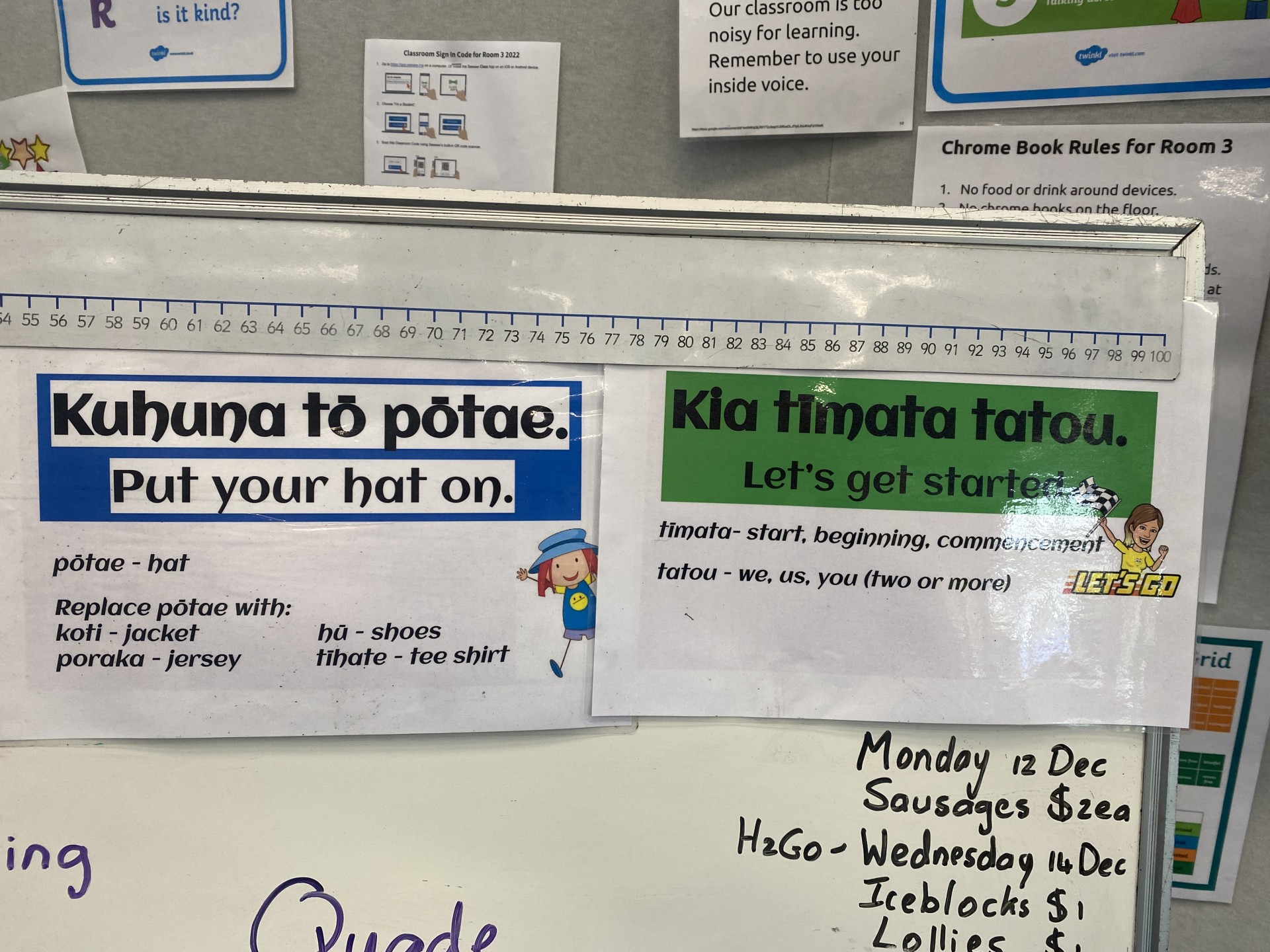 Learning Te Reo Māori Phrases » Wairakei Primary School