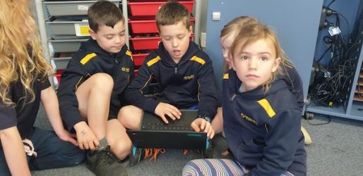 Celebration blog buddy class website sharing 4